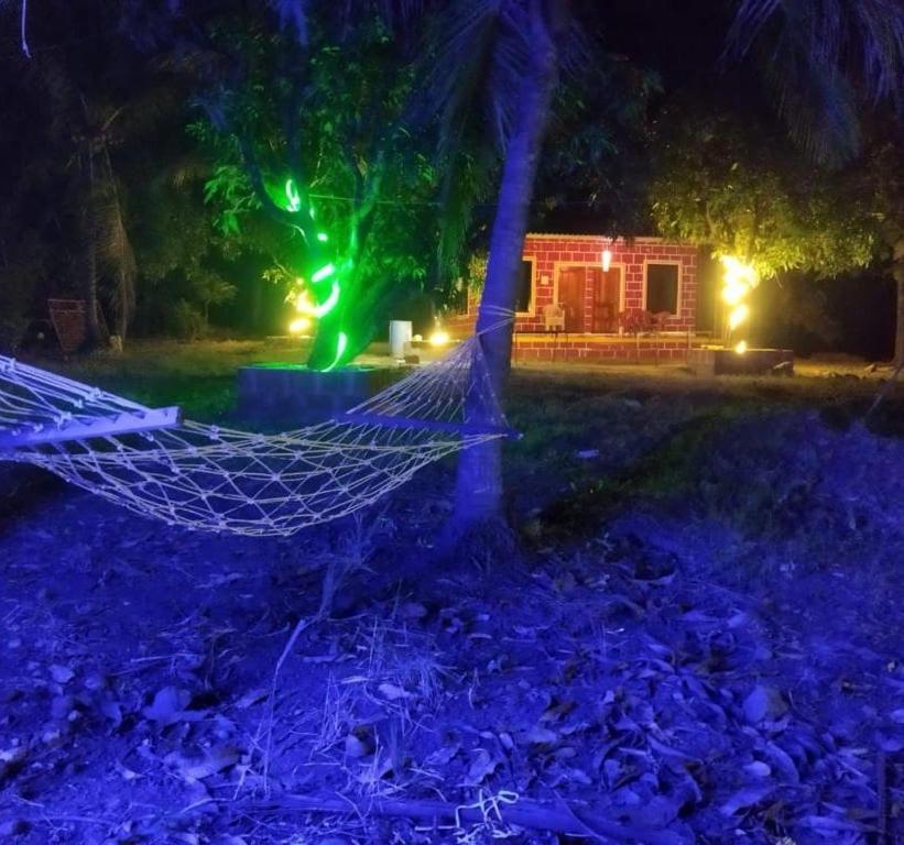 Willa Pratik Mango Farm House Revadanda Zewnętrze zdjęcie