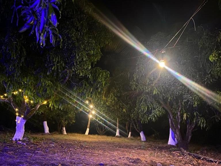 Willa Pratik Mango Farm House Revadanda Zewnętrze zdjęcie