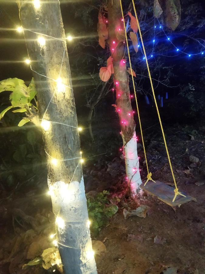 Willa Pratik Mango Farm House Revadanda Zewnętrze zdjęcie